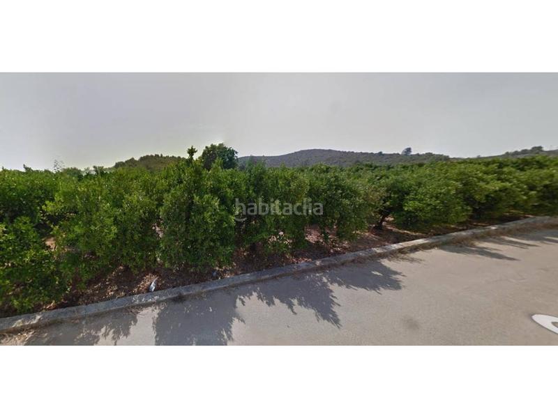 Foto c334b8fe-f214-4f94-9791-0c524eb1eda4. Landgut in Oliva pueblo Oliva