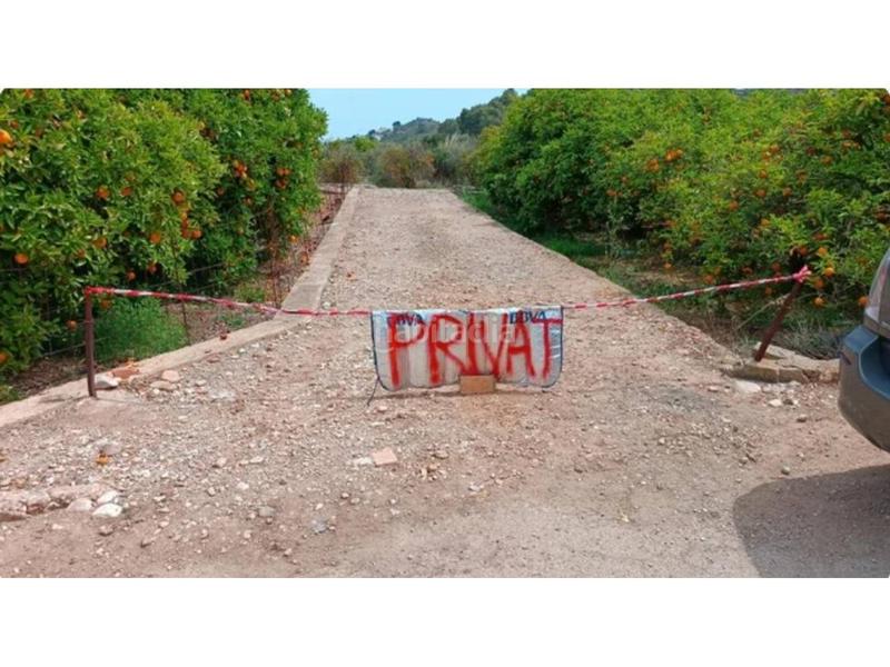 Foto fa0fe131-7e19-4ea9-8316-d061630ccb39. Landgut in Oliva pueblo Oliva