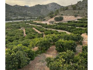 Finca rústica  Autopista del mediteraneo. Terreno en venta en santa annaurbanitzacions46728