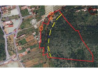 Finca rústica  Maria rafols. Dos grandes parcelas en villalonga para poder edificar