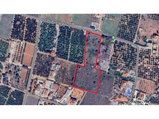Finca rústica a Rural les bases 3. Terreno en venta en palma de gandia