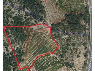 Nau industrial  Xeraco. Oportunidad única en xeresa! amplio terreno de 31.000 m con nave