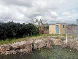 Finca rústica  Sequia nova. Terreno agrario de 4781m , rodeado por un hermoso lago,