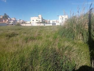 Terreny residencial  Acequia mare. Terreno de 981m divisible en la playa de bellreguard
