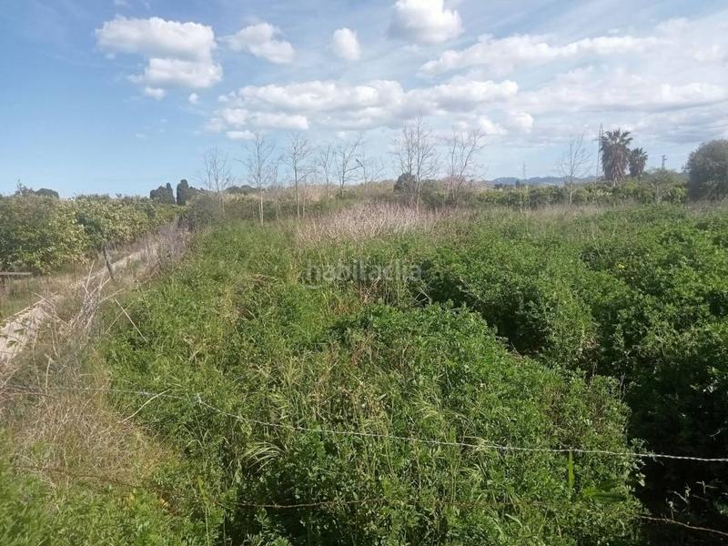 Foto 347709eb-8d2d-43cb-b8e8-03de7348abc3. Finca rústica a senda de l´amo 115 a Miramar