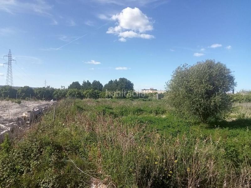 Foto 3c51f1c3-9c69-4b36-9df4-1ca6c6694444. Finca rústica a senda de l´amo 115 a Miramar