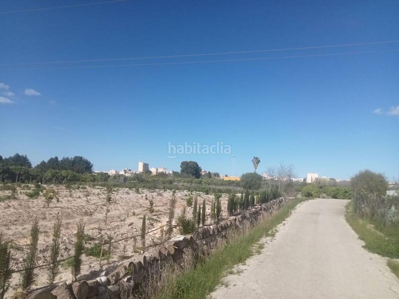 Foto 4d6c8a32-a1a8-472a-a620-7aeb1d118525. Finca rústica a senda de l´amo 115 a Miramar