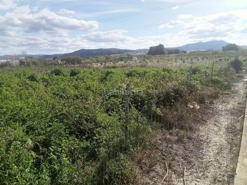 Foto 5ecef0c2-3bf4-46a1-a574-e7f5cb2e8175. Finca rústica a senda de l´amo 115 a Miramar