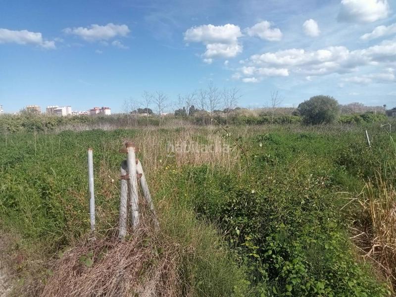 Foto 7b6ca7e7-30c9-43df-8003-e85a4a817f52. Finca rústica a senda de l´amo 115 a Miramar