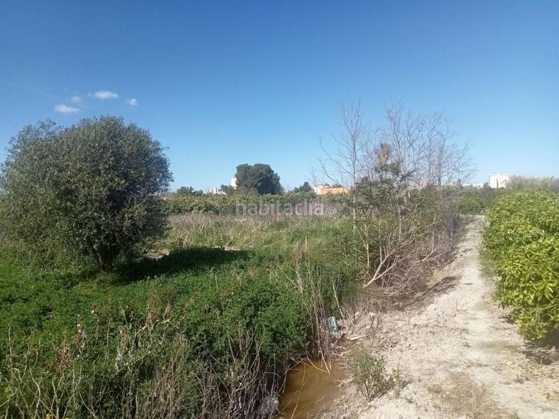 Foto abd9793f-5fe0-45ec-abe6-550f0e09d6bc. Finca rústica a senda de l´amo 115 a Miramar