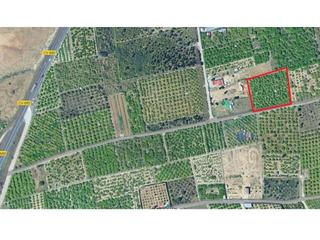 Finca rústica  Almoines. Terreno agrario de 2.392m muy cerca de almoines, con fácil acces