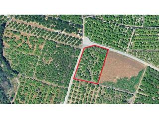 Finca rústica  Partida alfas. Terreno agrario esquinero junto al río en beniarjó por solo 11.0