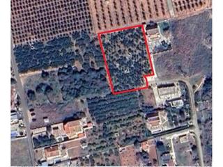 Finca rústica  Puça. Terreno vallado en marxuquera sur de más de 3 hanegadas
