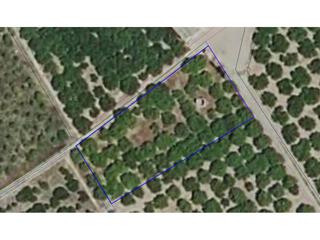 Finca rústica  Paloma. Parcela agraria esquinera con fácil acceso entre bellreguard y s