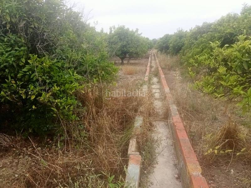 Foto 4dbadc0d-8b3b-4f09-a074-e0b57b64864d. Finca rústica a Bellreguard