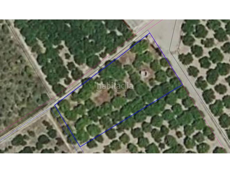 Foto 969dff69-3391-44c4-8d72-82cb98660f7e. Finca rústica a Bellreguard