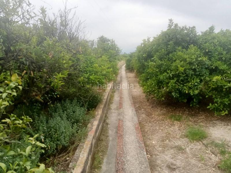 Foto 9a76747e-d052-49bb-ada4-f25f414ce8fa. Finca rústica a Bellreguard