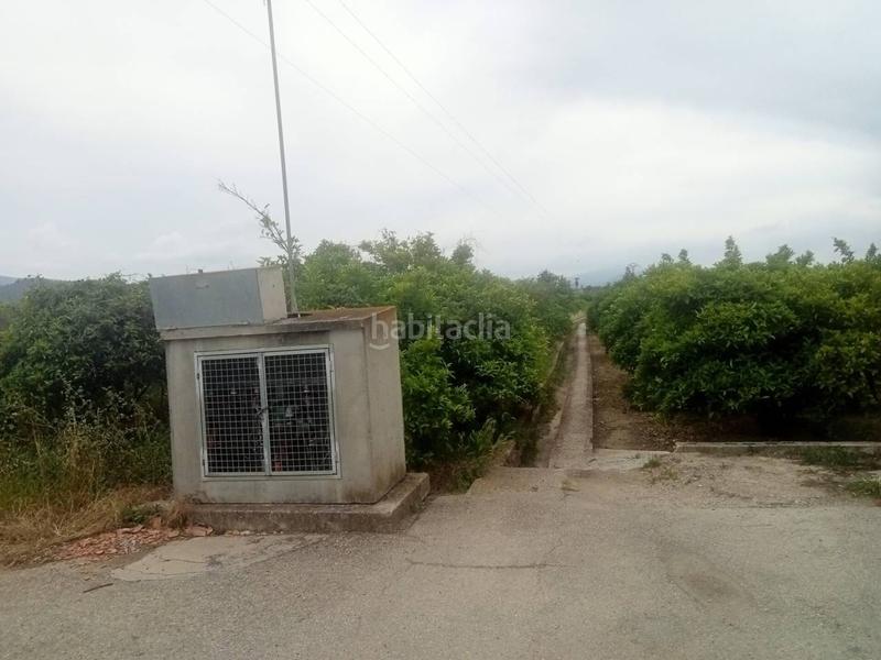 Foto eee649dd-4fa4-4a2c-8a89-dee105dd4322. Finca rústica a Bellreguard