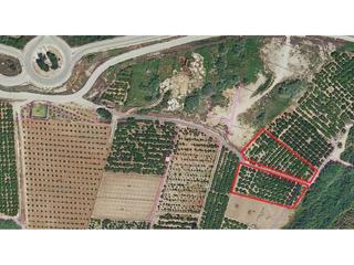 Finca rústica  Tarrocha. Terreno de 3897m 5 hanegadas con cítricos en producción y gran p