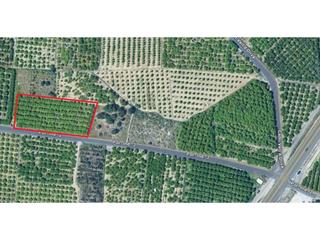 Fondo rustico  Viejo de xátiva. Terreno agrario en venta entre oliva y alqueria de la condesa