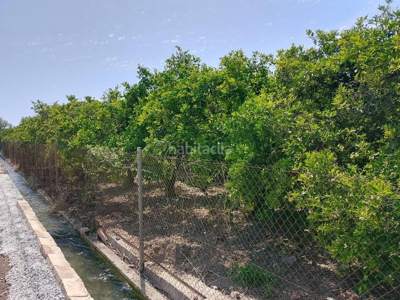 Foto 69f244e0-b0f0-4d1b-91c2-422d4774b885. Fondo rustico in Oliva pueblo Oliva