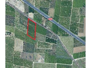 Rural plot  Viejo de gandía. Oportunidad agrícola en venta  alqueria de la condesa  oliva
