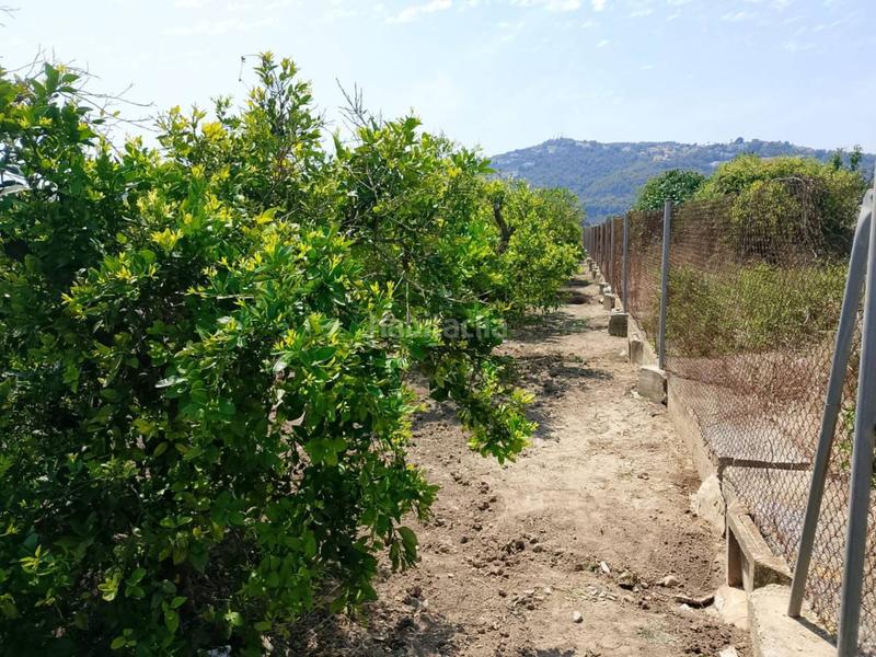 Foto c8388937-0379-4a0b-a13a-9528f5e68a81. Fondo rustico in Oliva pueblo Oliva