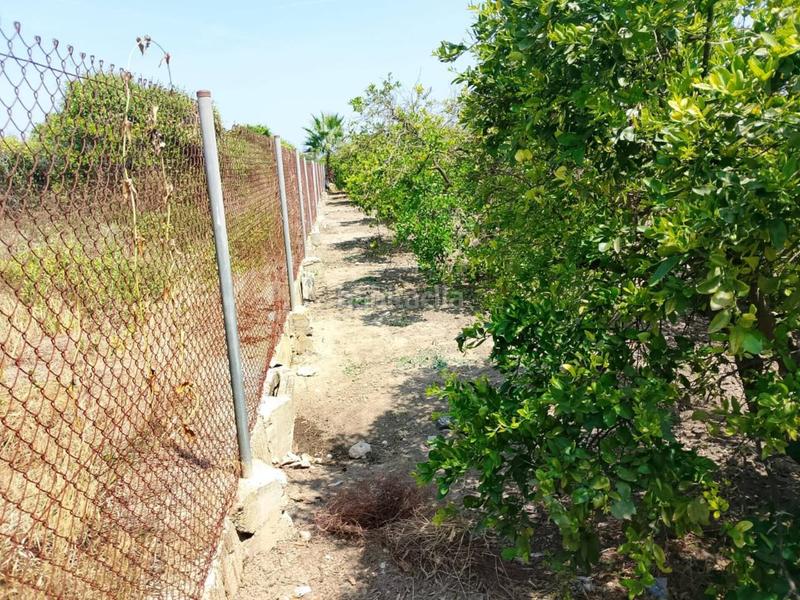 Foto cd700703-f19c-4146-812e-b6f018d999e5. Fondo rustico in Oliva pueblo Oliva