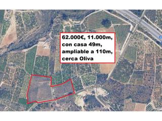 Finca rústica  Mines 25. Terreno rústico de 11.000 m con almacén convertible en vivienda