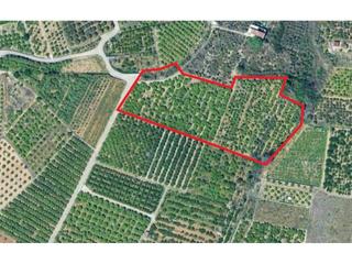 Fondo rustico  Partida alfas. Amplio terreno agrícola en beniarjó con opción de edificación