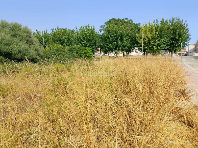 Foto 904f928d-0c6c-4967-a369-7a72b3e50711. Finca rústica a Piles