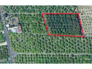 Rural plot  Vell de piles. Se vende terreno agrario en oliva  camino viejo de piles
