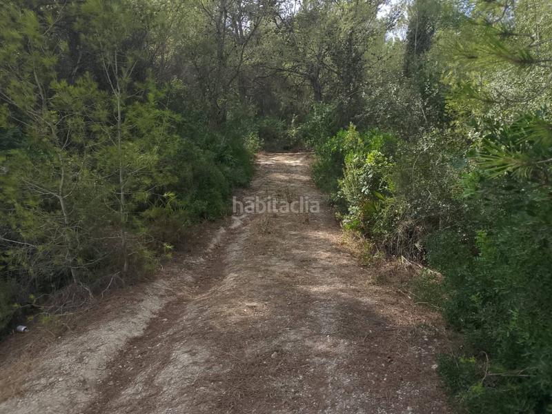 Foto 1ab7e362-15b1-42dd-8454-4ca6bcd4ee0f. Casa terreno con casa para reformar en marxuquera, palma de gandia en Palma de Gandía