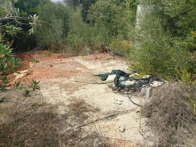 Foto 155d1338-4beb-4936-a227-d02384b9495f. Finca rústica a sector lladres 1 a Oliva pueblo Oliva