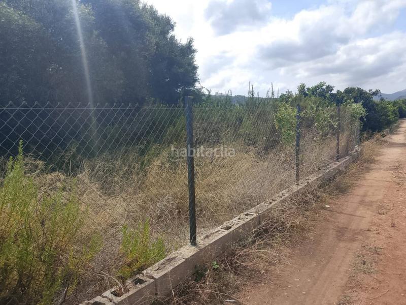 Foto 26c18fe6-2ed5-4e2b-8ad1-24409655a970. Finca rústica a sector lladres 1 a Oliva pueblo Oliva