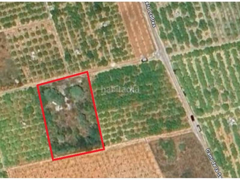 Foto 9df20ef5-41a0-4843-97af-9e3b2b916e95. Finca rústica a sector lladres 1 a Oliva pueblo Oliva