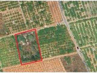 Landgut in Lladres 1. Terreno agrario vallado en venta  oliva  pego