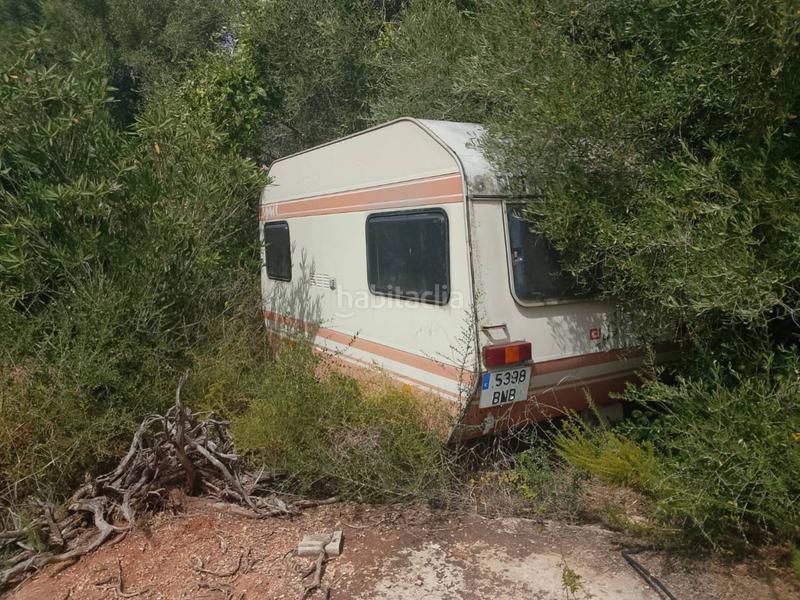 Foto df6e7957-dd5f-4f19-a75c-c2184bb451e6. Finca rústica a sector lladres 1 a Oliva pueblo Oliva