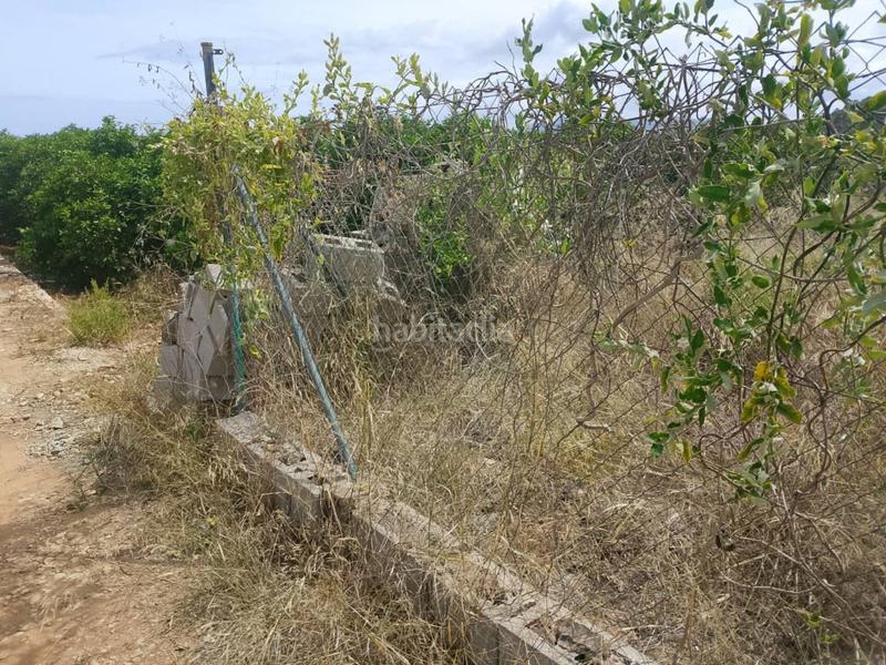 Foto e9972c50-d2ad-4b47-a526-4c698898f6cb. Finca rústica a sector lladres 1 a Oliva pueblo Oliva