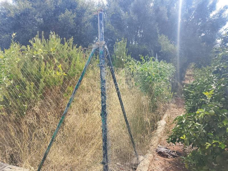 Foto f36d4d8e-6e7d-4ac2-b605-838005eba78b. Finca rústica a sector lladres 1 a Oliva pueblo Oliva