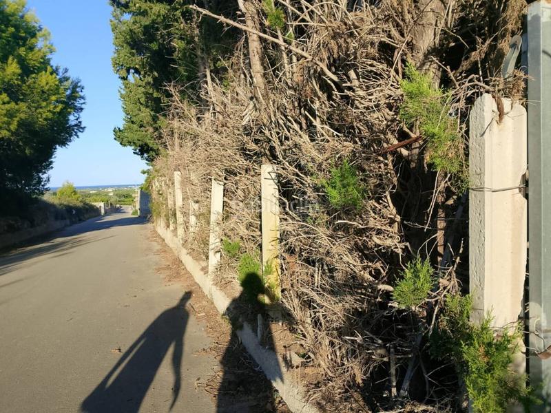 Foto 04f63cd4-89a9-4ebd-a827-6ffff46c8f8f. Fondo rustico in Oliva pueblo Oliva