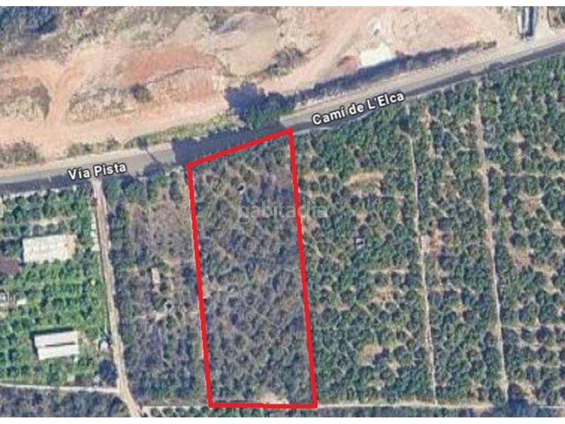 Foto 6ea2b398-4db6-4917-ab24-f7a4736a6cce. Fondo rustico in Oliva pueblo Oliva