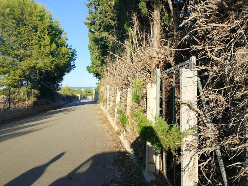 Foto 8defbb75-7949-4ef2-9ada-6fa171bd9890. Fondo rustico in Oliva pueblo Oliva