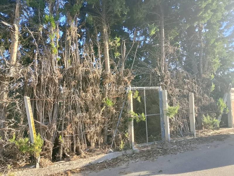 Foto 9d71e982-7f74-41bd-9ab7-ad8a5bbf983c. Fondo rustico in Oliva pueblo Oliva