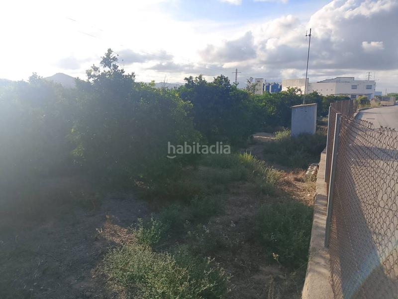 Foto 5eb33abb-bf75-4459-a513-b89c73f89a22. Fondo rustico in vell de xàtiva 1 in Oliva pueblo Oliva