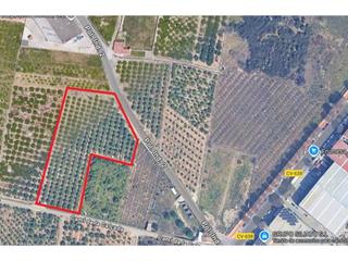 Landgut in Vell de xàtiva 1. Terreno rústico en venta  zona próxima a oliva