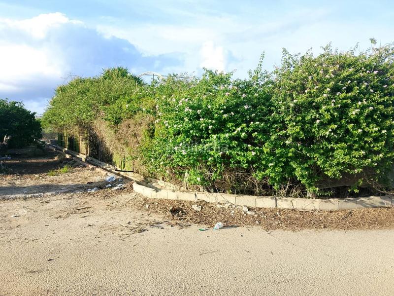 Foto 27ddf2a0-13f6-4221-bd55-3b20904557e8. Fondo rustico in Oliva pueblo Oliva