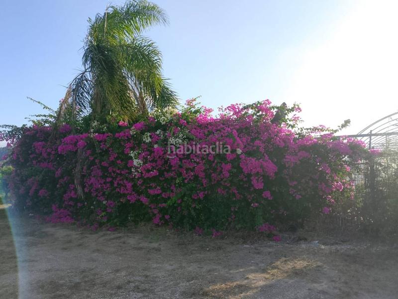 Foto 3de23315-17b8-4bef-be55-4c8e99ff8550. Fondo rustico in Oliva pueblo Oliva