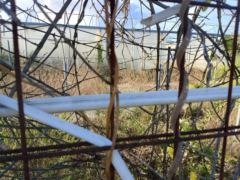 Foto 461d5c25-a007-4d3a-bd64-93035a203c40. Fondo rustico in Oliva pueblo Oliva