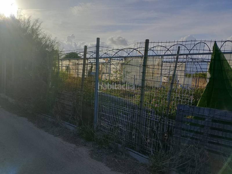 Foto 464a065b-611c-4427-bc88-7395339cc1a2. Fondo rustico in Oliva pueblo Oliva